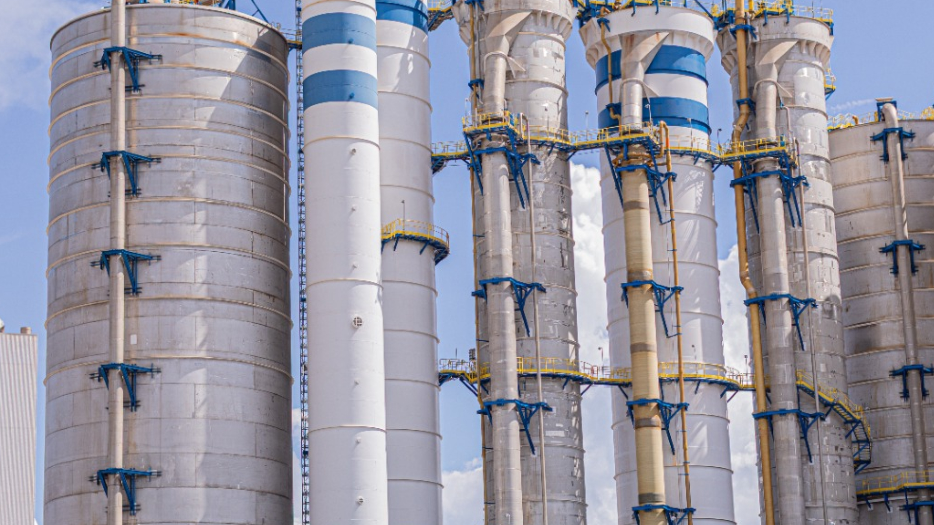 Avanço da celulose e bioenergia redesenha matriz econômica do agronegócio em Mato Grosso do Sul